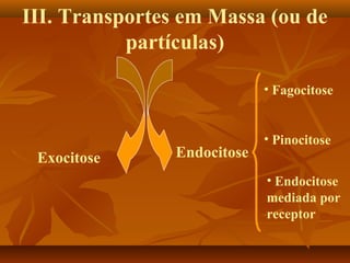 III. Transportes em Massa (ou de
partículas)
• Fagocitose

Exocitose

Endocitose

• Pinocitose
• Endocitose
mediada por
receptor

 