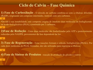 Ciclo de Calvin – Fase Química
1) Fase de Carboxilação - O dióxido de carbono combina-se com a ribulose difosfato
(RuDP), originando um composto intermédio, instável, com seis carbonos.
•Devido à sua instabilidade, este composto origina de imediato duas moléculas de fosfoglicerato
ou ácido fosfoglicérico (PGA), constituído por 3 carbonos.

2)Fase de Redução - Estas duas moléculas são fosforilizadas pelo ATP e posteriormente
reduzidas pelo NADPH, provenientes da fase dependente da luz.

3) Fase de Regeneração - Estas reacções formam o aldeído fosfoglicérico (PGAL). Por
cada doze moléculas de PGAL formadas, dez são utilizadas para regenerar a ribulose.

4) Fase de Síntese de Produtos - reacção de produção de glícidos e outros

 