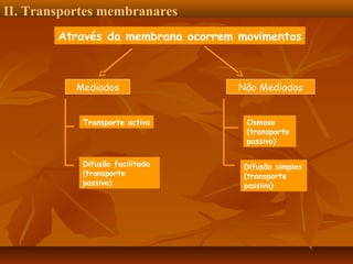 II. Transportes membranares
Através da membrana ocorrem movimentos

Mediados
Transporte activo

Difusão facilitada
(transporte
passivo)

Não Mediados
Osmose
(transporte
passivo)
Difusão simples
(transporte
passivo)

 