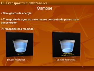 II. Transportes membranares

Osmose
Sem gastos de energia
Transporte de água do meio menos concentrado para o mais
concentrado
Transporte não mediado

Solução Hipotónica

Solução Hipertónica

 