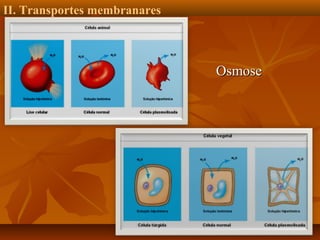 II. Transportes membranares

Osmose

 