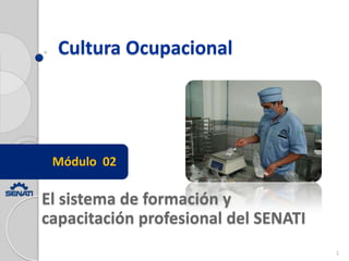Cultura Ocupacional




 Módulo 02

El sistema de formación y
capacitación profesional del SENATI
                                      1
 