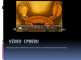 VÍDEO CPBEDU
http://www.cpbedu.me/#!ebooks/1-ensino-medio/2-1-ano/5-biologia/20-fasciculo-3/modulo-3