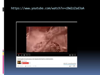 https://www.youtube.com/watch?v=cDW2zZadJaA