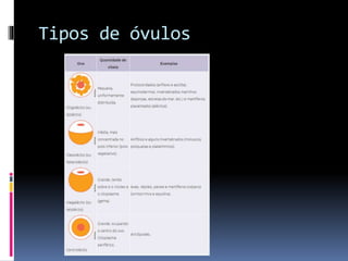 Tipos de óvulos