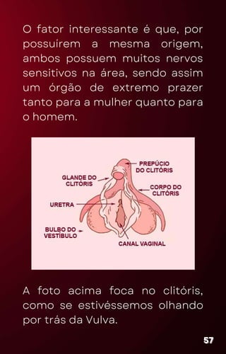 O fator interessante é que, por
possuírem a mesma origem,
ambos possuem muitos nervos
sensitivos na área, sendo assim
um órgão de extremo prazer
tanto para a mulher quanto para
o homem.
57
57
57
A foto acima foca no clitóris,
como se estivéssemos olhando
por trás da Vulva.
 