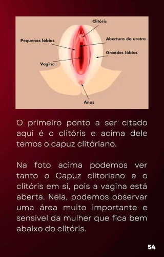 O primeiro ponto a ser citado
aqui é o clitóris e acima dele
temos o capuz clitóriano.
Na foto acima podemos ver
tanto o Capuz clitoriano e o
clitóris em si, pois a vagina está
aberta. Nela, podemos observar
uma área muito importante e
sensível da mulher que fica bem
abaixo do clitóris.
54
54
54
 