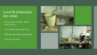 Local de preparação
das caldas
 No caso em estudo, neste
local existe:
 Lava olhos; Banca de inox;
 Balança; Medidas graduadas;
 Conchas de inox;
 