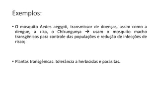 Exemplos:
• O mosquito Aedes aegypti, transmissor de doenças, assim como a
dengue, a zika, o Chikungunya  usam o mosquito macho
transgênicos para controle das populações e redução de infecções de
risco;
• Plantas transgênicas: tolerância a herbicidas e parasitas.
 