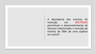 A descoberta das enzimas de
restrição em BACTÉRIAS
permitiram o desenvolvimento de
técnicas relacionadas a inserção de
trechos de DNA de uma espécie
em outra!!
 