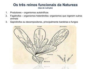 Os três reinos funcionais da Natureza
(tipo de nutrição)
1. Produtores – organismos autotróficos
2. Fagótrofos – organismos heterótrofos: organismos que ingerem outros
animais
3. Saprotrofos ou decompositores, principalmente bactérias e fungos
 