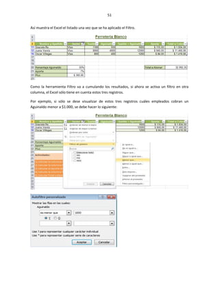 51


Así muestra el Excel el listado una vez que se ha aplicado el Filtro.




Como la herramienta Filtro va a cumulando l...