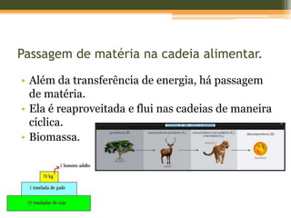Passagem de matéria na cadeia alimentar.
• Além da transferência de energia, há passagem
de matéria.
• Ela é reaproveitada e flui nas cadeias de maneira
cíclica.
• Biomassa.