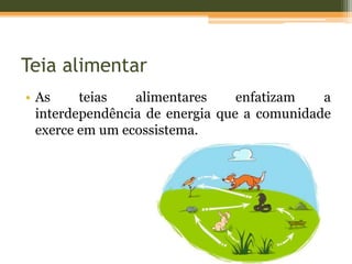 Teia alimentar
• As teias alimentares enfatizam a
interdependência de energia que a comunidade
exerce em um ecossistema.