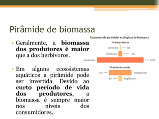 Pirâmide de biomassa
• Geralmente, a biomassa
dos produtores é maior
que a dos herbívoros.
• Em alguns ecossistemas
aquáticos a pirâmide pode
ser invertida. Devido ao
curto período de vida
dos produtores, a
biomassa é sempre maior
nos níveis dos
consumidores.