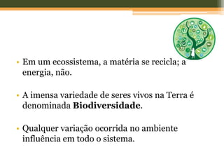 • Em um ecossistema, a matéria se recicla; a
energia, não.
• A imensa variedade de seres vivos na Terra é
denominada Biodiversidade.
• Qualquer variação ocorrida no ambiente
influência em todo o sistema.