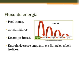 Fluxo de energia
• Produtores.
• Consumidores
• Decompositores.
• Energia decresce enquanto ela flui pelos níveis
tróficos.
