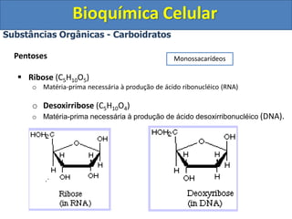 Bioquímica Celular
Substâncias Orgânicas - Carboidratos
Pentoses
 Ribose (C5H10O5)
o Matéria-prima necessária à produção de ácido ribonucléico (RNA)
o Desoxirribose (C5H10O4)
o Matéria-prima necessária à produção de ácido desoxirribonucléico (DNA).
Monossacarídeos
 