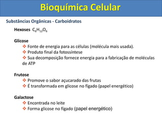 Hexoses C6H12O6
Glicose
 Fonte de energia para as células (molécula mais usada).
 Produto final da fotossíntese
 Sua decomposição fornece energia para a fabricação de moléculas
de ATP
Frutose
 Promove o sabor açucarado das frutas
 É transformada em glicose no fígado (papel energético)
Galactose
 Encontrada no leite
 Forma glicose no fígado (papel energético)
Bioquímica Celular
Substâncias Orgânicas - Carboidratos
 