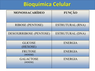 MONOSSACARÍDEO FUNÇÃO
RIBOSE (PENTOSE) ESTRUTURAL (RNA)
DESOXIRRIBOSE (PENTOSE) ESTRUTURAL (DNA)
GLICOSE
(HEXOSE)
ENERGIA
FRUTOSE
(HEXOSE)
ENERGIA
GALACTOSE
(HEXOSE)
ENERGIA
Bioquímica Celular
 