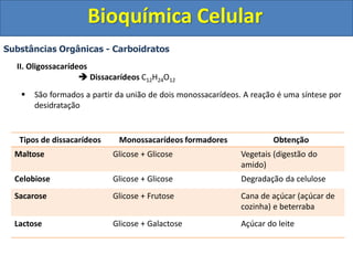 Bioquímica Celular
Substâncias Orgânicas - Carboidratos
II. Oligossacarídeos
 Dissacarídeos C12H24O12
 São formados a partir da união de dois monossacarídeos. A reação é uma síntese por
desidratação
Tipos de dissacarídeos Monossacarídeos formadores Obtenção
Maltose Glicose + Glicose Vegetais (digestão do
amido)
Celobiose Glicose + Glicose Degradação da celulose
Sacarose Glicose + Frutose Cana de açúcar (açúcar de
cozinha) e beterraba
Lactose Glicose + Galactose Açúcar do leite
 