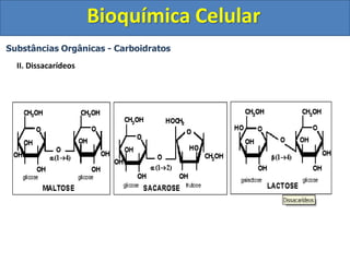 Bioquímica Celular
Substâncias Orgânicas - Carboidratos
II. Dissacarídeos
 