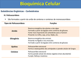 Bioquímica Celular
Substâncias Orgânicas - Carboidratos
III. Polissacarídeos
 São formados a partir da união de centenas e centenas de monossacarídeos
Tipos de Polissacarídeos Funções
Amido
Reserva energética das plantas e das algas
Formado a partir da ligação entre centenas de glicoses
Fonte mais importante de carboidrato para o homem
Presente no milho, soja, arroz, feijão, etc.
Glicogênio Reserva energética dos animais
Presente no fígado e nos músculos
Formado a partir da ligação entre centenas de glicoses
Quitina Polissacarídeo estrutural
Forma o exoesqueleto dos artrópodes e parede celular de fungos
Celulose Polissacarídeo estrutural
Forma parede celular de células vegetais (mais abundante)
Função: Reforço mecânico
 