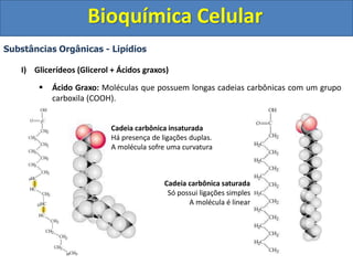 Bioquímica Celular
Substâncias Orgânicas - Lipídios
I) Glicerídeos (Glicerol + Ácidos graxos)
 Ácido Graxo: Moléculas que possuem longas cadeias carbônicas com um grupo
carboxila (COOH).
Cadeia carbônica insaturada
Há presença de ligações duplas.
A molécula sofre uma curvatura
Cadeia carbônica saturada
Só possui ligações simples
A molécula é linear
 