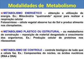 Modalidades de Metabolismo
METABOLISMO ENERGÉTICO – obtenção e utilização de
energia. Ex.: Mitocôndria “queimando” açúcar para realizar a
respiração celular
Fotossíntese – célula vegetal absorve luz do Sol e produz alimento
nos cloroplastos.
METABOLISMO PLÁSTICO OU ESTRUTURAL – ou metabolismo
de construção – reposição de material desgastado e crescimento
dos organismos. Ex.: Produção celular de proteínas nos
ribossomos
METABOLISMO DE CONTROLE – controle biológico de tudo que
a célula faz. Ex.: Componentes do núcleo, os ácidos nucléicos
(RNA e DNA)
 
