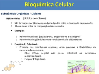 Bioquímica Celular
Substâncias Orgânicas - Lipídios
III) Esteróides
 São formados por átomos de carbono ligados entre si, formando quatro anéis.
 O colesterol entra na composição dos esteróides.
 Exemplos
o Hormônios sexuais (testosterona, progesterona e estrógeno)
o Hormônios das glândulas supra-renais (cortisol e aldosterona)
 Funções do Colesterol:
o Presente nas membranas celulares, onde promove a flexibilidade da
estrutura da membrana.
• Obs.: Célula vegetal não possui colesterol na membrana
(estigmaesterol).
• Fungos Ergosterol.
(Lipídios complexos)
 