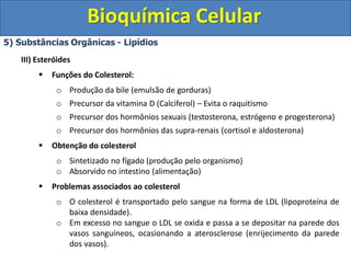 Bioquímica Celular
5) Substâncias Orgânicas - Lipídios
III) Esteróides
 Funções do Colesterol:
o Produção da bile (emulsão de gorduras)
o Precursor da vitamina D (Calciferol) – Evita o raquitismo
o Precursor dos hormônios sexuais (testosterona, estrógeno e progesterona)
o Precursor dos hormônios das supra-renais (cortisol e aldosterona)
 Obtenção do colesterol
o Sintetizado no fígado (produção pelo organismo)
o Absorvido no intestino (alimentação)
 Problemas associados ao colesterol
o O colesterol é transportado pelo sangue na forma de LDL (lipoproteína de
baixa densidade).
o Em excesso no sangue o LDL se oxida e passa a se depositar na parede dos
vasos sanguíneos, ocasionando a aterosclerose (enrijecimento da parede
dos vasos).
 