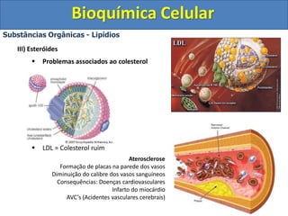 Bioquímica Celular
Substâncias Orgânicas - Lipídios
III) Esteróides
 Problemas associados ao colesterol
 LDL = Colesterol ruim
Aterosclerose
Formação de placas na parede dos vasos
Diminuição do calibre dos vasos sanguíneos
Consequências: Doenças cardiovasculares
Infarto do miocárdio
AVC’s (Acidentes vasculares cerebrais)
 
