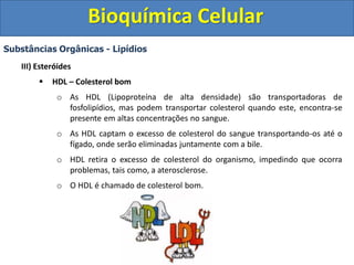 Bioquímica Celular
Substâncias Orgânicas - Lipídios
III) Esteróides
 HDL – Colesterol bom
o As HDL (Lipoproteína de alta densidade) são transportadoras de
fosfolipídios, mas podem transportar colesterol quando este, encontra-se
presente em altas concentrações no sangue.
o As HDL captam o excesso de colesterol do sangue transportando-os até o
fígado, onde serão eliminadas juntamente com a bile.
o HDL retira o excesso de colesterol do organismo, impedindo que ocorra
problemas, tais como, a aterosclerose.
o O HDL é chamado de colesterol bom.
 