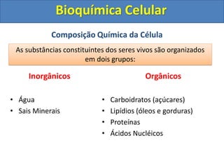 Composição Química da Célula
Inorgânicos
• Água
• Sais Minerais
Orgânicos
• Carboidratos (açúcares)
• Lipídios (óleos e gorduras)
• Proteínas
• Ácidos Nucléicos
Bioquímica Celular
As substâncias constituintes dos seres vivos são organizados
em dois grupos:
 