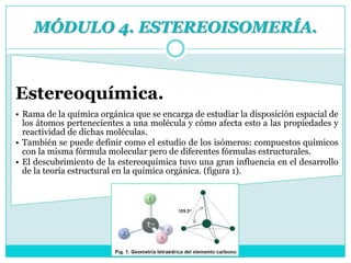 Modulo Rama 9 Módulo 4 estereosomería | PDF