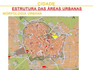 CIDADE
ESTRUTURA DAS ÁREAS URBANAS
MORFOLOGIA URBANA
 