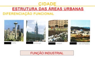 CIDADE
ESTRUTURA DAS ÁREAS URBANAS
DIFERENCIAÇÃO FUNCIONAL
FUNÇÃO INDUSTRIAL
 