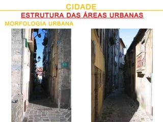 CIDADE
ESTRUTURA DAS ÁREAS URBANAS
MORFOLOGIA URBANA
 
