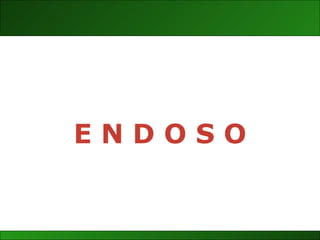 E N D O S O 