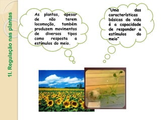 “Uma das
características
básicas da vida
é a capacidade
de responder a
estímulos do
meio”
As plantas, apesar
de não terem
locomoção, também
produzem movimentos
de diversos tipos
como resposta a
estímulos do meio.
1I.
Regulação
nas
plantas
 