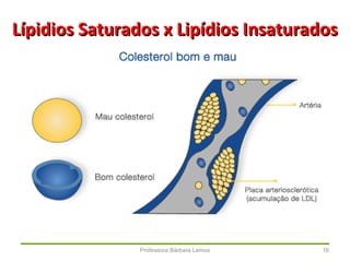 Professora Bárbara Lemos 16
Lípidios Saturados x Lipídios InsaturadosLípidios Saturados x Lipídios Insaturados
 