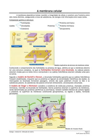 Biologia – módulo A2 – Obtenção de matéria Página 2
Profª Leonor Vaz Pereira
A membrana celular
A membrana plasmática/celular mantém a integridade da célula e constitui uma fronteira entre
dois meios distintos, assegurando a troca de substâncias, de energia e de informação entre esses meios.
Composição química e estrutura
Fosfolípidos Proteína extrínseca
Lípidos Glicolípidos Proteínas Proteína intrínseca
Colesterol Glicoproteína
Modelos explicativos da estrutura da membrana celular
Conhecendo o comportamento dos fosfolípidos na presença de água, admitiu-se que a membrana deveria
ter uma estrutura complexa, na qual os fosfolípidos formariam uma bicamada. As cabeças polares
estariam viradas para os meios intra e extracelular e as cadeias hidrofóbicas estariam voltadas umas para
as outras.
Segundo o modelo de Danielli e Davson, a bicamada fosfolipídica garantia que as cadeias hidrofóbicas
ficassem estabilizadas, enquanto que as proteínas se ligavam às extremidades hidrofílicas dos lípidos. As
interrupções na bicamada formariam passagens, através das quais poderiam circular os iões e as
substâncias polares. As substâncias não polares entrariam diretamente, atravessando a bicamada.
O modelo de Singer o Nicholson considera a existência de moléculas proteicas, chamadas proteínas
intrínsecas, inseridas na bicamada de fosfolípidos. Outras proteínas estariam à superfície da membrana,
sendo denominadas por proteínas periféricas ou extrínsecas. Existem também hidratos de carbono ligados
a proteínas na superfície da membrana constituindo glicoproteínas, ou ligados a lípidos, formando
glicolípidos.
Modelo de mosaico fluido
 