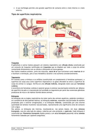 • A sua morfologia permite uma grande superfície de contacto entre o meio interno e o meio
externo.
Tipos de superfícies respiratórias
Traqueias
O gafanhoto e outros insetos possuem um sistema respiratório com difusão direta constituído por
um conjunto de traqueias ramificadas em traquíolas que se dispõem por todo o corpo do animal
contactando diretamente com as células e efetuando as trocas gasosas.
Nos insetos voadores existem, junto aos músculos, sacos de ar que funcionam como reservas de ar
e facilitam a ventilação, pois a taxa metabólica durante o voo aumenta consideravelmente.
Tegumento
Em animais como a minhoca e os anfíbios (constituindo um complemento à hematose pulmonar), a
superfície do corpo atua como superfície respiratória e os gases difundem-se entre a superfície do
corpo do animal e o sangue. Verifica-se uma difusão indireta, designada neste caso por hematose
cutânea.
A ocorrência de hematose cutânea é possível graças à extensa vascularização existente por debaixo
da superfície da pele e à manutenção da humidade no tegumento por parte das numerosas glândulas
produtoras de muco e do habitat húmido destes animais.
Brânquias
As brânquias são os órgãos respiratórios da maior parte dos animais aquáticos, podendo considerar-
se a existência de dois padrões básicos: as brânquias externas, expansões vascularizadas do epitélio
projetadas para o exterior (evaginações), e as brânquias internas, constituídas por uma enorme
quantidade de lamelas ricamente vascularizadas, representando uma significativa área de contacto
com a água.
Nos peixes, as brânquias são internas, localizando-se, nos peixes ósseos, em duas câmaras
branquiais, uma de cada lado da cabeça, cobertas por uma proteção, o opérculo. Cada brânquia é
constituída por filamentos branquiais duplos presos a um arco branquial possuindo várias lamelas
fortemente rodeadas por capilares sanguíneos.
Biologia – módulo A3 – Obtenção de energia Página 2
Profª Leonor Vaz Pereira
 