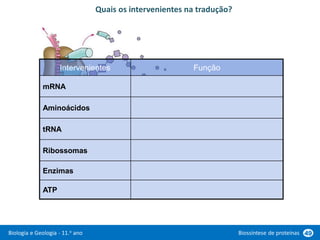 Biologia e Geologia - 11.o ano Biossíntese de proteínas 49
Quais os intervenientes na tradução?
Intervenientes Função
mRNA
Informação genética para a síntese de
proteínas
Aminoácidos
Moléculas básicas a integrar nas
proteínas
tRNA
Transferência de aminoácidos para os
ribossomas
Ribossomas
Leitura do mRNA e ligação entre
aminoácidos
Enzimas Catalisadores do processo
ATP Fornecimento de energia
 