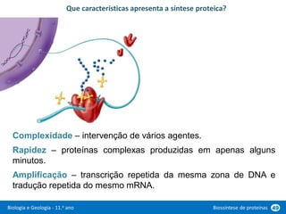 Biologia e Geologia - 11.o ano Biossíntese de proteínas 49
Complexidade – intervenção de vários agentes.
Rapidez – proteínas complexas produzidas em apenas alguns
minutos.
Amplificação – transcrição repetida da mesma zona de DNA e
tradução repetida do mesmo mRNA.
Que características apresenta a síntese proteica?
 