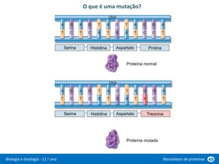 Biologia e Geologia - 11.o ano Biossíntese de proteínas 49
O que é uma mutação?
Serina Histidina Aspartato Prolina
Serina Histidina Aspartato Treonina
Proteína normal
Proteína mutada
 
