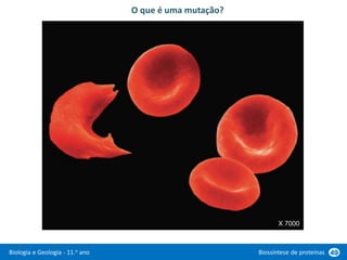 Biologia e Geologia - 11.o ano Biossíntese de proteínas 49
O que é uma mutação?
X 7000
 