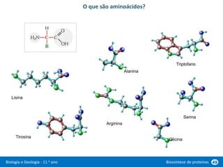 Biologia e Geologia - 11.o ano Biossíntese de proteínas 49
O que são aminoácidos?
Serina
Tirosina
Lisina
Alanina
Triptofano
Arginina
Glicina
 