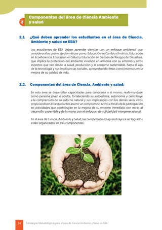 24 Estrategias Metodológicas para el área de Ciencia Ambiente y Salud en EBA
2.1 	 ¿Qué deben aprender los estudiantes en el área de Ciencia,
Ambiente y salud en EBA?
	 Los estudiantes de EBA deben aprender ciencias con un enfoque ambiental que
considera a los cuatro ejes temáticos como: Educación en Cambio climático, Educación
en Ecoeficiencia, Educación en Salud y Educación en Gestión de Riesgos de Desastres,
que implica la protección del ambiente viviendo en armonía con su entorno y otros
aspectos que van desde la salud, producción y el consumo sustentable, hasta el uso
de la tecnología y sus implicancias sociales, aprovechando éstos conocimientos en la
mejora de su calidad de vida.
2.2.	 Componentes del área de Ciencia, Ambiente y salud:
	 En esta área se desarrollan capacidades para conocerse a sí mismo, reafirmándose
como persona joven o adulta, fortaleciendo su autoestima, autonomía y contribuye
a la comprensión de su entorno natural y sus implicancias con los demás seres vivos
propiciandoenlosestudiantesasumiruncompromiso activoatravésdelaparticipación
en actividades que contribuyan en la mejora de su entorno inmediato con miras al
desarrollo sostenible y de la mano con el enfoque de solidaridad intergeneracional.
	 En el área de Ciencia, Ambiente y Salud, las competencias y aprendizajes a ser logrados
están organizados en tres componentes:
Componentes del área de Ciencia Ambiente
y salud2
 