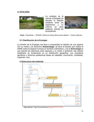 5. ECOLOGÍA

                                     La ecología es la
                                     ciencia encargada de
                                     estudiar la relación
                                     existente entre los
                                     organismos y su
                                     entorno; en otras
                                     palabras, estudia los
                                     ecosistemas.

   Fotos: Estudiantes – TECNAR. Salida de Campo Microcuenca Matute – Turbaco (Bolívar).


  5.1 Clasificación de la Ecologia.

La división de la Ecología nos lleva a comprender la relación de una especie
con su medio y se denomina Autoecología, tal sería el estudio que realiza el
DANE sobre la especie humana en territorio colombiano; y es la Sinecología la
que estudia las relaciones entre especies y su medio o ambiente; ese estudio
estadístico se fundamenta en su distribución geografica, sus caracteres
genéticos y dinámica poblacional (tasas de natalidad, crecimiento, mortalidad,
migración, etc).

  5.2 Estructura del ambiente




        Mapa Mental: Yesid Correa Romero (fecha???????????).

                                                                                     14
 